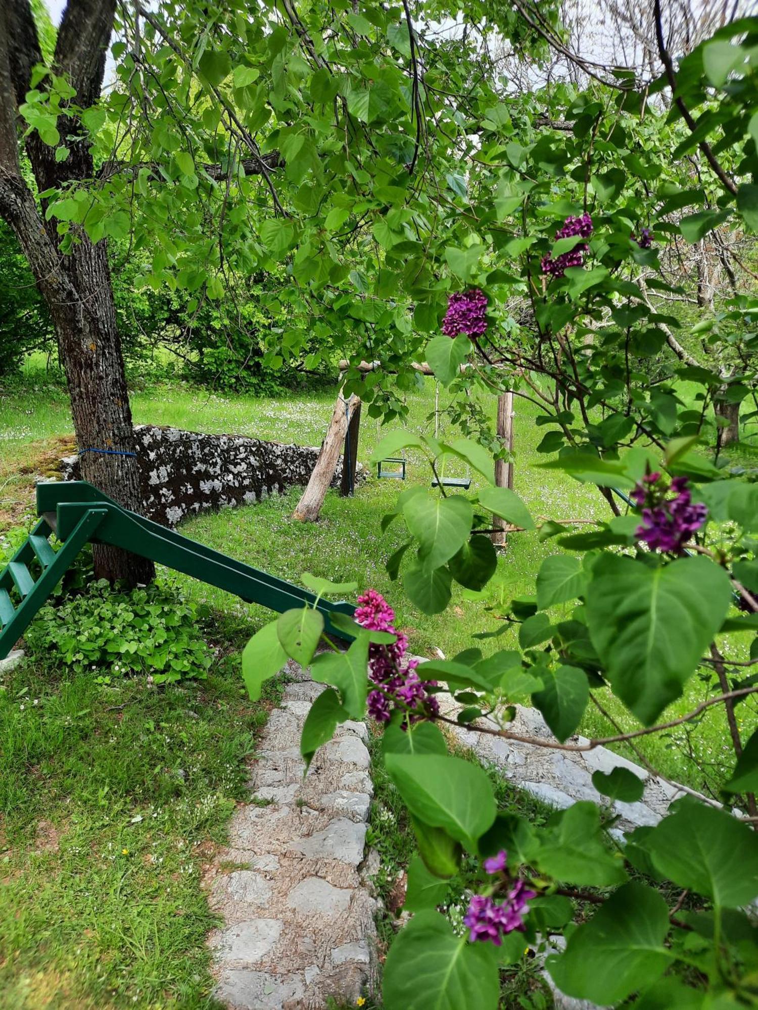 Вилла Lovcen4Me Цетине Экстерьер фото